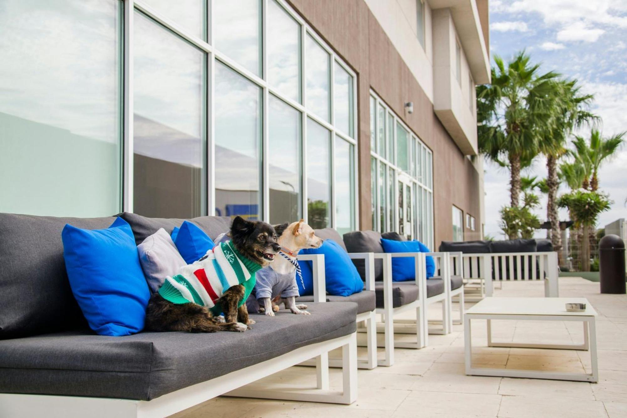 Courtyard By Marriott Hermosillo Luaran gambar